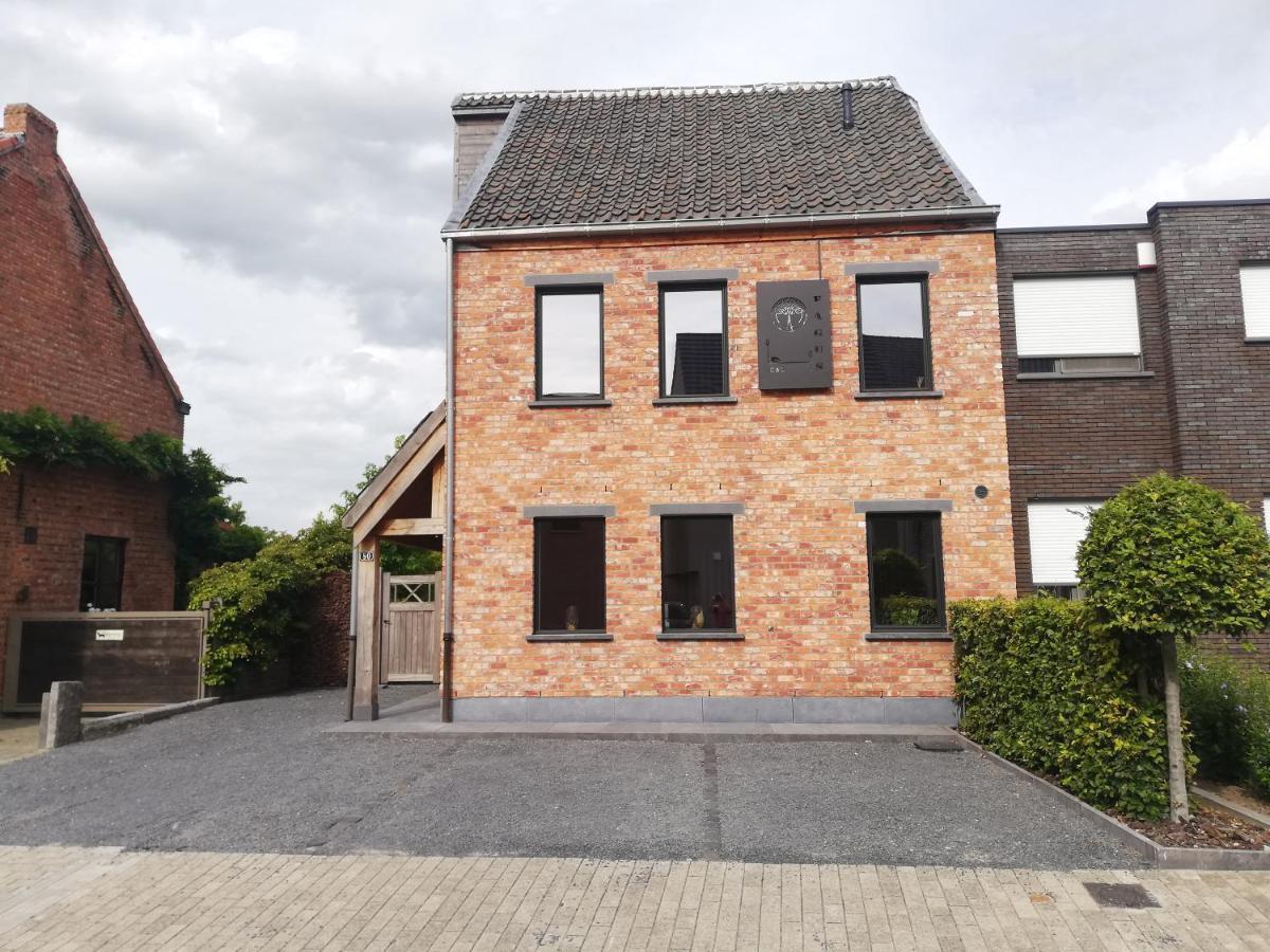 B&B Fagus Buggenhout Dış mekan fotoğraf
